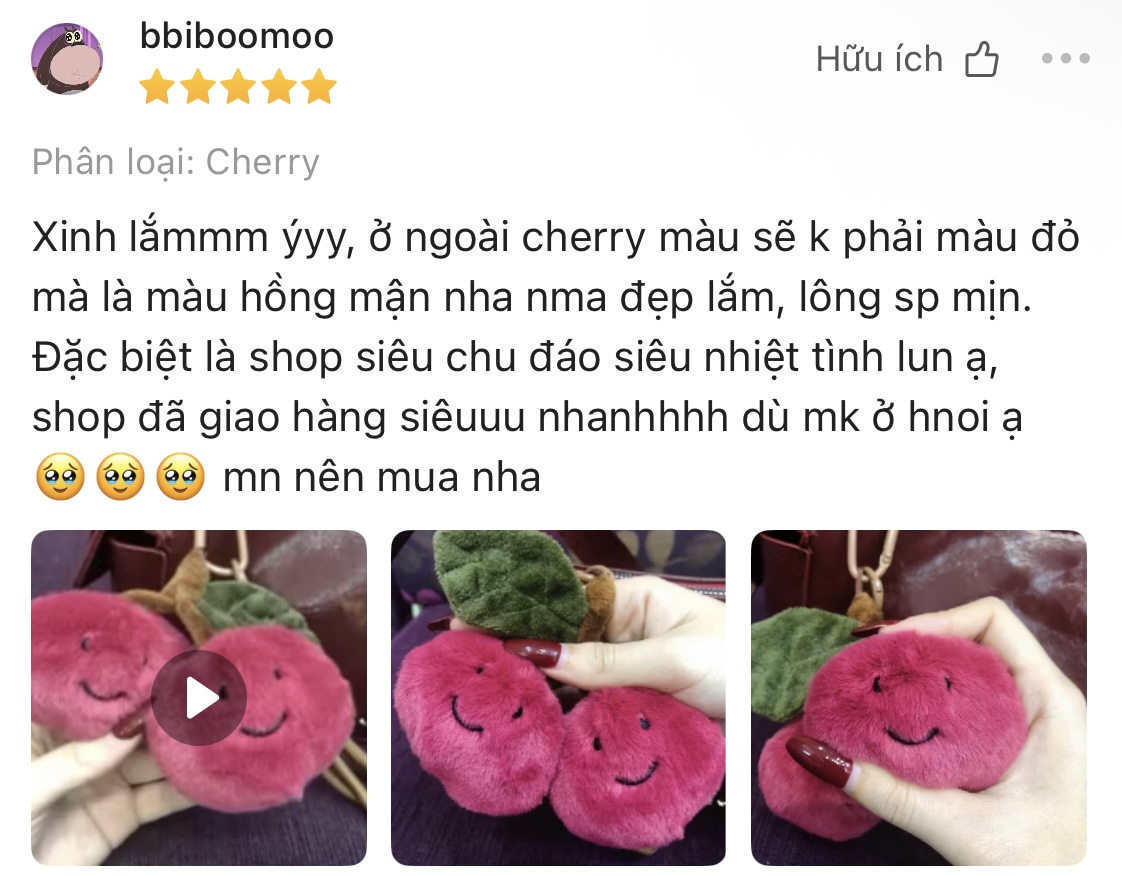 Customer review